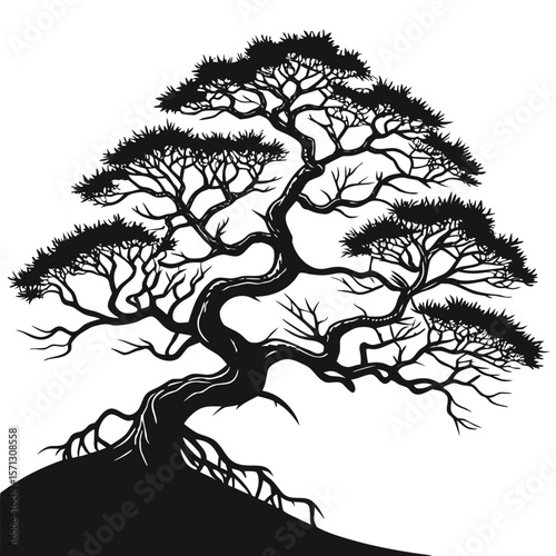 Exquisite Silhouette of a Mature Bonsai Tree Gracing a Gentle Hillside