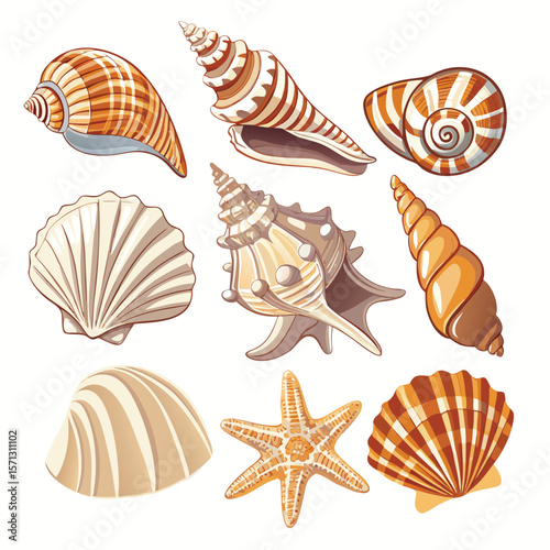 Assorted seashells and starfish vector illustration ocean beach