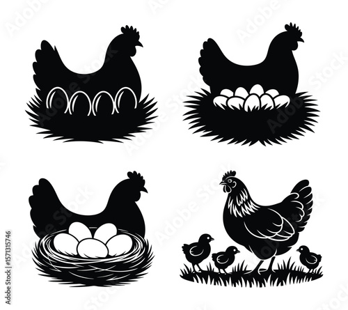 Rural Hen and Eggs Illustration for Agriculture Concept

