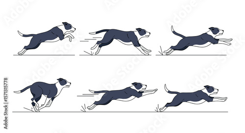 Dynamic dog animation sequence capturing energetic motion and athletic prowess in every stride