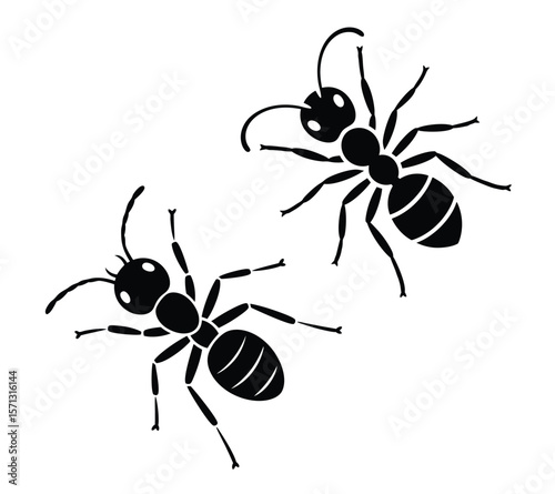 Two Black Ants Silhouette Vector Icon On White Background
