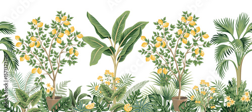 Tropical vintage botanical palms, banana tree, lemon tree, green plants, yellow flower, palm leaves seamless border white background. Jungle wallpaper.