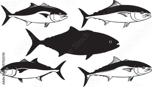 Amberjack fish silhouette