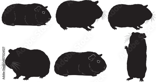  Guinea Pigs in Various Poses silhouette