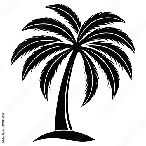 Black silhouette palm tree isolated on white background