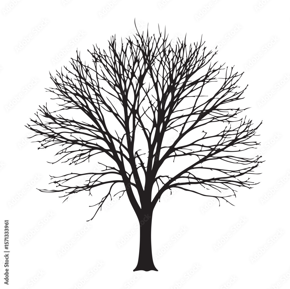 Obraz premium Winter Tree with Bare Branches – Vector Ink Silhouette. AI generator