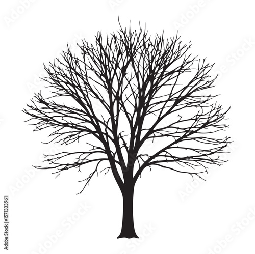 Winter Tree with Bare Branches – Vector Ink Silhouette. AI generator