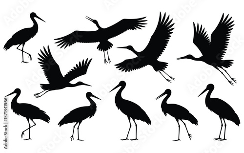 A black and white silhouette illustration of storks in various poses and flight positions against a white background