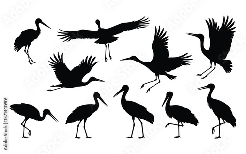 A black and white silhouette illustration of storks in various poses and flight positions against a white background