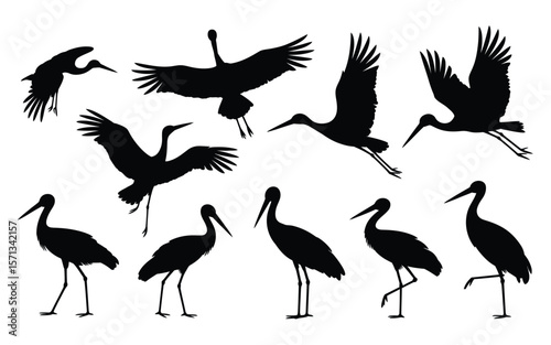 A black and white silhouette illustration of storks in various poses and flight positions against a white background