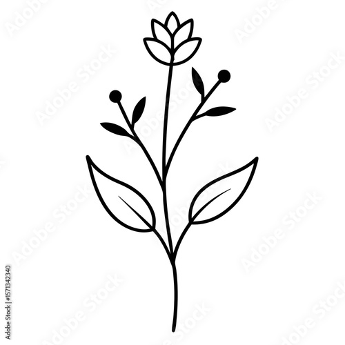black and white flower