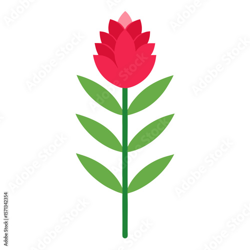 heath flower isolated on white background