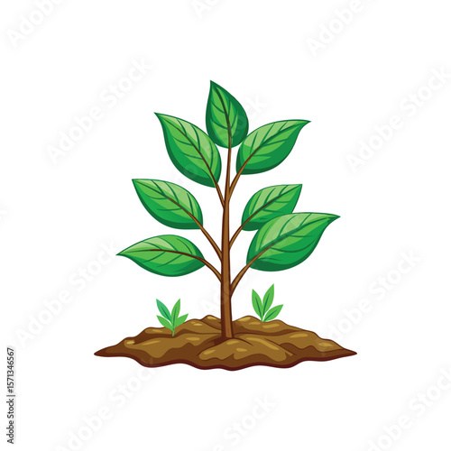Newborn Plant Shooting Up from Soil Patch