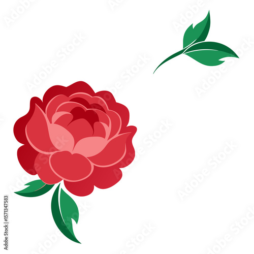 Right Side Peony Border Floral Design Elements AI Vector for Invitations, Cards & Decor