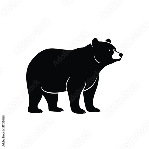 vector illustration of a bear
