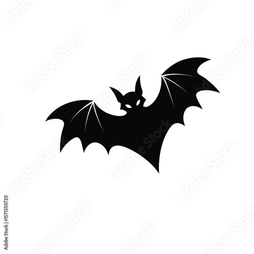 bat and bats