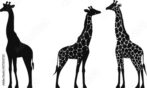 giraffe vector illustration, silhouette, and charming cartoon giraffe