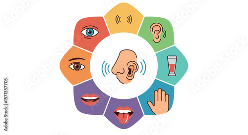 Senses concept vector illustration in flat style for educational usage