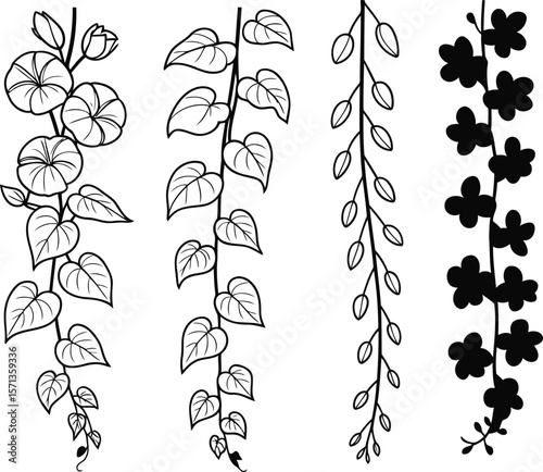 Delicate floral vines with blooming flowers and leaves plant leaf