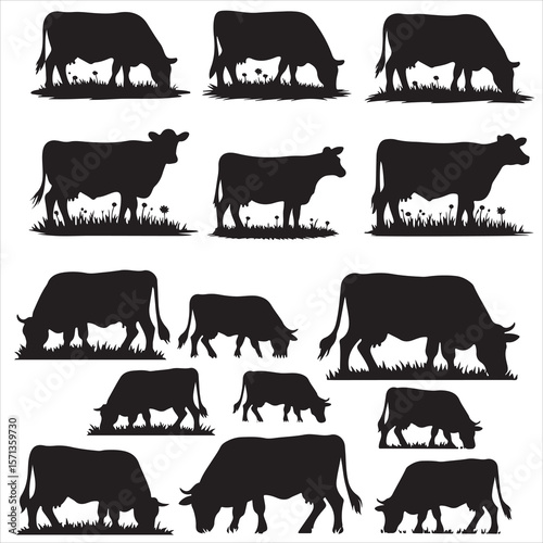 set of cow vector silhouettes for graphic resources