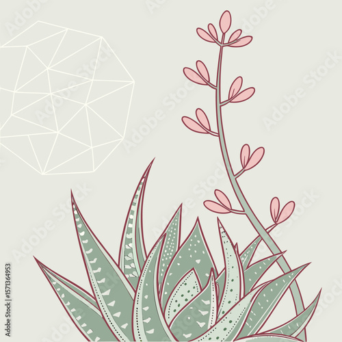 Illustration of a succulent plant with a flowering stem and geometric shapes background design art