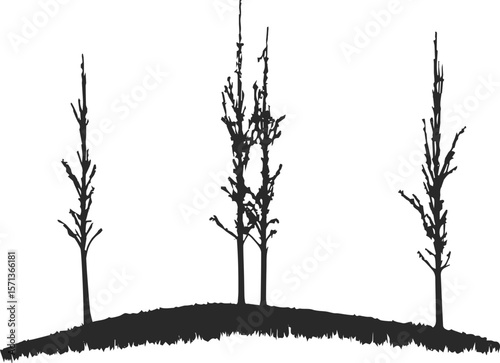 A stark black and white tree silhouette vector depicts a bare branch against a winter sky, an isolated nature illustration.