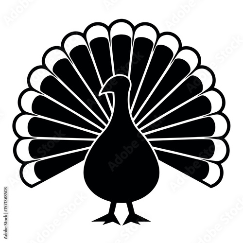 Peacock silhouette displaying tail feathers isolated on white background
