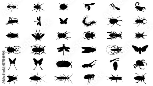 icon set insect silhuettes illustration