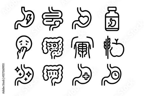 Digestive system line icons vector illustration for medical design and infographic