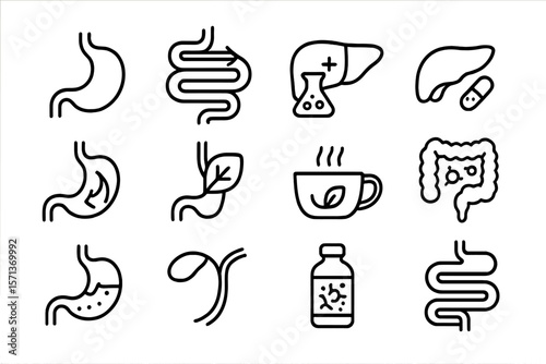 Digestive health icons vector illustration for medical and educational designs
