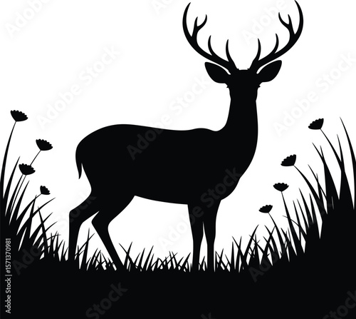 Floral Field Deer Silhouette Illustration Featuring Majestic Antlers and Blooming Ground Cover in Monochrome Line Art