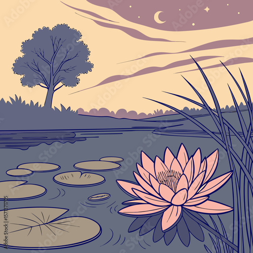 water lilies in the pond