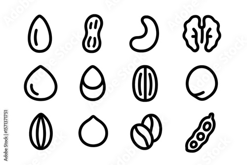 Assorted nuts vector illustration: hand drawn nut clipart for design and decoration