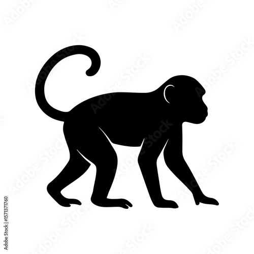 Monkey silhouette vector illustration, black monkey shape.