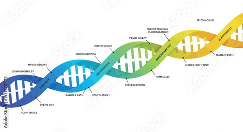 Colorful dna helix diagram vector illustration with labels for educational use