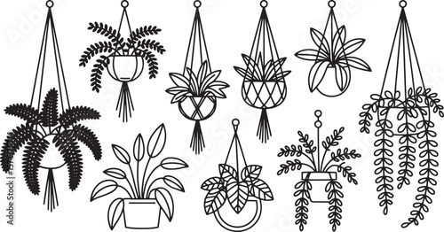 Various potted plants hanging in macrame holders vector