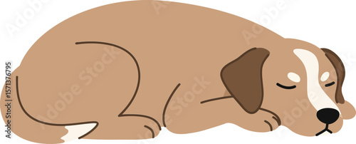 Sleeping brown and white dog curled up resting peacefully in simple illustration style