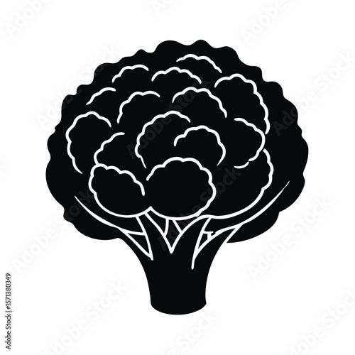 hand-drawn-cauliflower-icon-sketch-include-after-o.eps