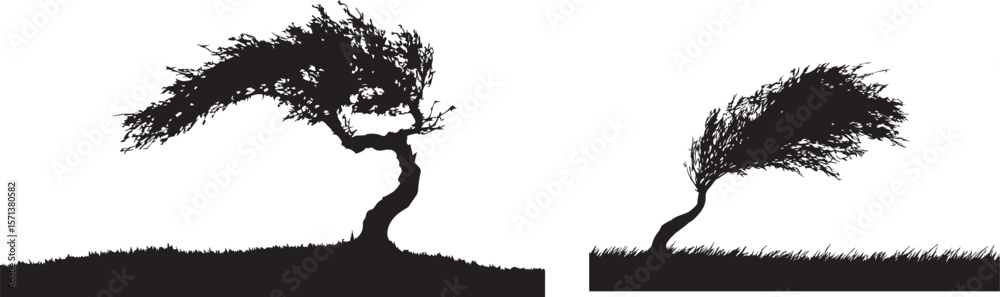 Fototapeta premium Silhouette of a palm tree vector illustration showing nature and floral design elements.