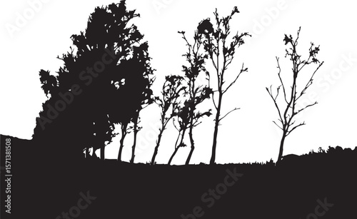 A black tree silhouette vector stands against a vibrant sunset sky in a serene forest landscape