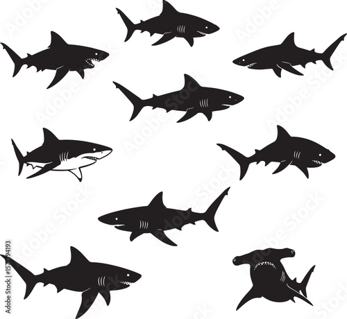 Nine various shark silhouettes including great white hammerhead and other species for ocean wildlife designs