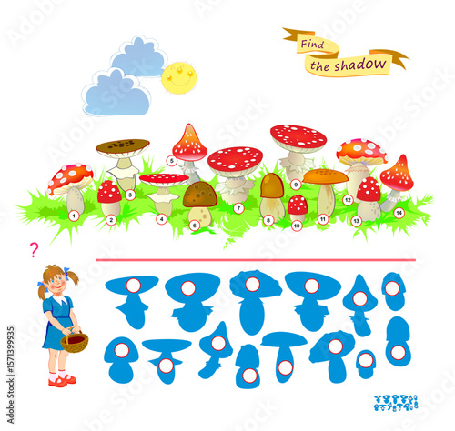 Best puzzles for kids. Can you find the shadow of each mushroom? Write the numbers in circles. Educational game for children. Task for attentiveness. IQ test. Hand drawn vector illustration.