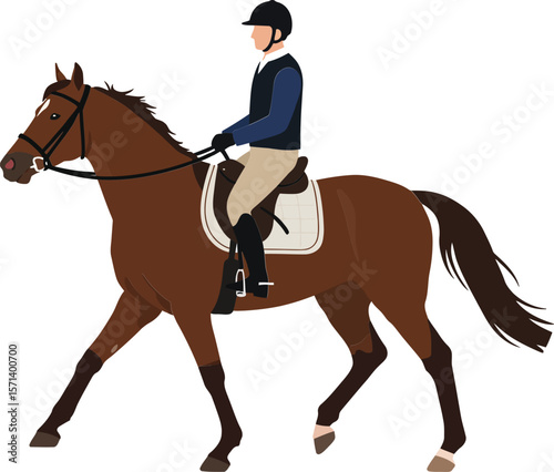 Equestrian horseback rider in navy jacket and helmet riding brown horse on white background