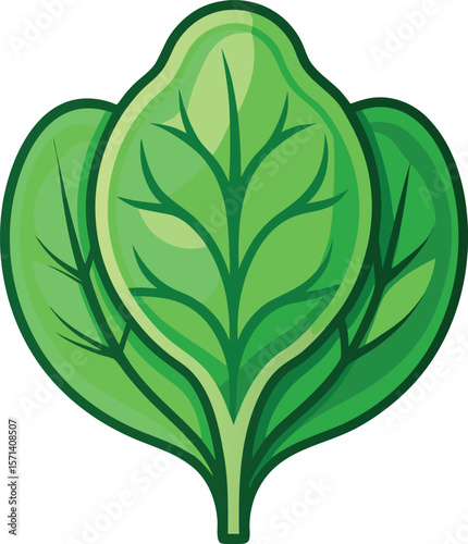 spinach icon, vector icon
