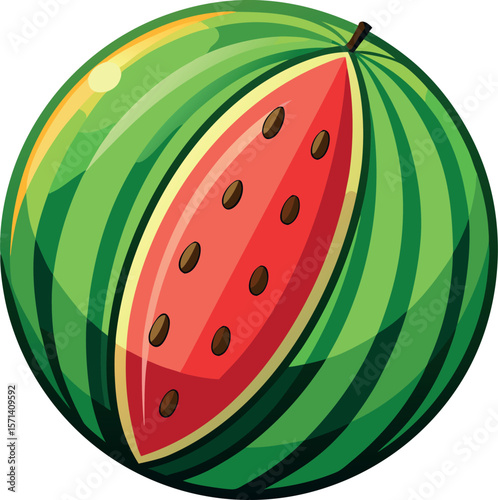 watermelon vector illustration