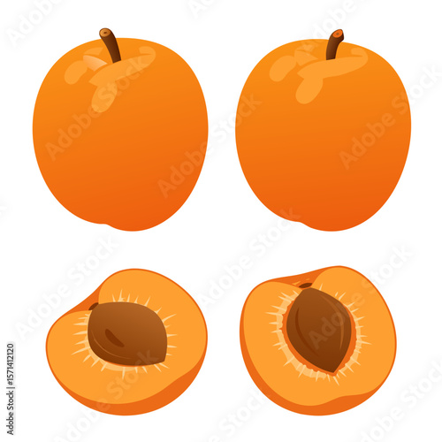Whole and halved apricot fruit with pit