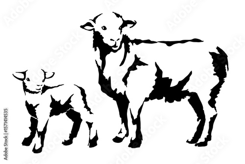 sheep and lamb vector black and white light and shadow illustration