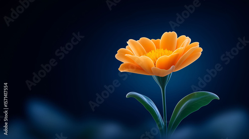 Marigold flower