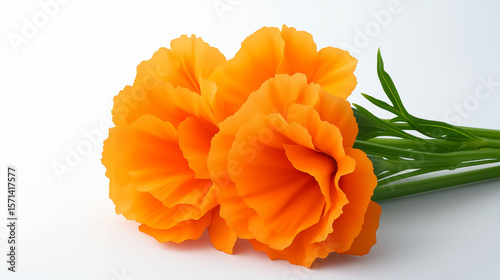 Marigold flower