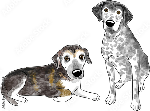 Hand Painted Cat and Dog Animals